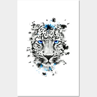 Leopard with blue eyes Posters and Art